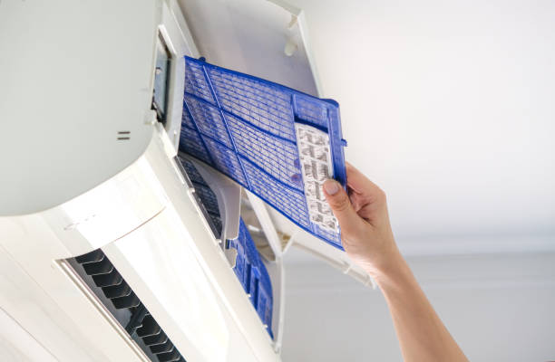 Best Home Air Vent Cleaning  in Minturn, CO